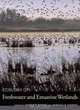 Ecology of Freshwater and Estuarine Wetlands, 