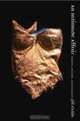 An Intimate Affair: Women, Lingerie, and Sexuality, Jill Fields 