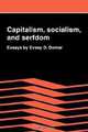 Capitalism, Socialism, and Serfdom: Essays by Evsey D. Domar, Evsey D. Domar 