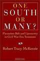 One South or Many, Robert Tracy McKenzie 