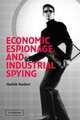 Economic Espionage and Industrial Spying (Cambridge Studies in Criminology), Hedieh Nasheri 