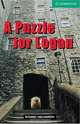 A Puzzle for Logan: Level 3, Richard MacAndrew 