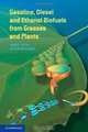 Gasoline, Diesel and Ethanol Biofuels from Grasses and Plants, Gupta Ram B., Demirbas Ayhan 