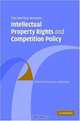 The Interface Between Intellectual Property Rights and Competition Policy, 
