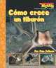 Como Crece un Tiburon/ A SharkPup Grows Up (Scholastic News Nonfiction Readers En Espanol), Pam Zollman 