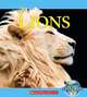 Lions (Nature
