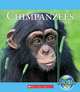 Chimpanzees (Nature