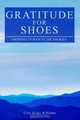 Gratitude For Shoes : Growing Up Poor In The Smokies, Cleo Hicks Williams 