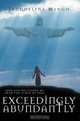 Exceedingly Abundantly : How GOD Delivered Me From The Curse Of Debt, Jacqueline Mingo 