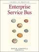 Enterprise Service Bus: Theory in Practice, David Chappell 