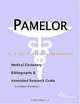 Pamelor - A Medical Dictionary, Bibliography, and Annotated Research Guide to Internet References, 