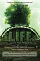 The Three of Life: Attitude, Love, and the Pursuit of Healthy Relationships, Lisa Eva Gold 