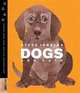 Dogs and Cats, Steve Jenkins 