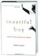 Beautiful Boy: A Father