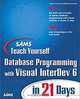 Sams Teach Yourself Database Programming with Visual InterDev 6 in 21 Days (Teach Yourself -- Days), Robert Crouch, Michael Amundsen 