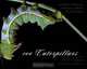 100 Caterpillars: Portraits from the Tropical Forests of Costa Rica, Jeffrey C. Miller, Daniel H. Janzen, Winifred Hallwachs 
