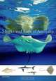 Sharks and Rays of Australia, Peter R. Last, John D. Stevens 