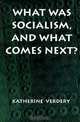 What Was Socialism, and What Comes Next?, Katherine Verdery, Sherry B. Ortner, Nicholas B. Dirks, Geoff Eley 