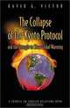 The Collapse of the Kyoto Protocol and the Struggle to Slow Global Warming (Council on Foreign Relations Book), David G. Victor 