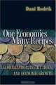 One Economics, Many Recipes: Globalization, Institutions, and Economic Growth, Dani Rodrik 