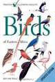 Birds of Eastern Africa: Updated Edition (Princeton Illustrated Checklists), Ber van Perlo 