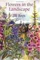 Flowers in the Landscape, Jill Bays 