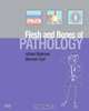 The Flesh and Bones of Pathology (Flesh & Bones), Adrian C. Bateman, Norman Carr 