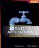 Programming Microsoft ADO.NET 2.0 Applications: Advanced Topics, Glenn Johnson 