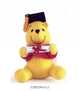 Graduation Pooh, Dennis R. Shealy 