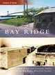 Bay Ridge (Then and Now), Peter Scarpa, Lawrence Stelter, Bay Ridge Historical Society 