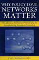 Why Policy Issue Networks Matter: The Advanced Technology Program and the Manufacturing Extension Partnership, Paul M. Hallacher 