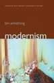 Modernism: A Cultural History (Themes in 20th-Century Literature and Culture), Tim Armstrong 