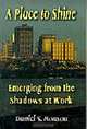 A Place to Shine, Emerging from the Shadows at Work, Daniel S. Hanson 
