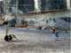 Little People in the City: The Street Art of Slinkachu, 