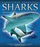 Sharks, Miranda Smith 