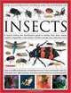 The Illustrated World Encyclopedia of Insects: A natural history and identification guide to beetles, flies, bees wasps, springtails, mayflies, stoneflies, ... crickets, bugs, grasshoppers, fleas, spide, Martin Walters 