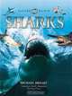 Nature Watch: Sharks, Michael Bright 