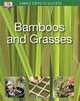 Bamboos & Grasses, Jon Ardle 