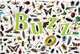 Buzz, Caroline Bingham 