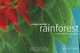 Rainforest, Thomas Marent 