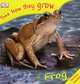 Frog, 