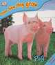Pig, 