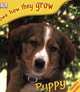 Puppy, 
