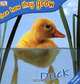 Duck: See How They Grow, 