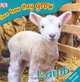 Lamb: See How They Grow, 