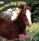 Pony, Mary Ling 