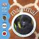 Eye Know Mammal, 