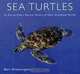 Sea Turtles: An Extraordinary Natural History of Some Uncommon Turtles, Blair Ernest Witherington 