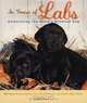 In Praise of Labs: Celebrating the World
