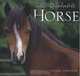The Quotable Horse, 